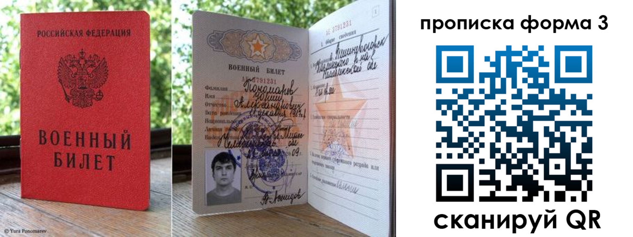 прописка гарантия в Курске